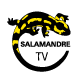 SalamandreTV Logo 80